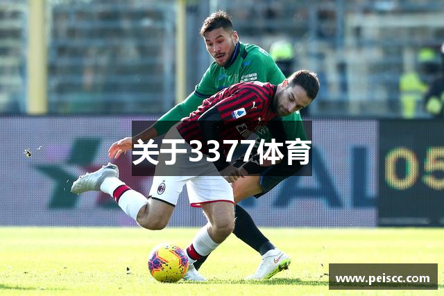 关于3377体育